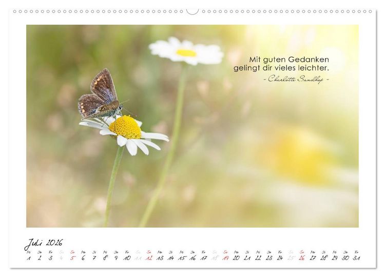 Produktbild: Mit guten Gedanken durch das Jahr (hochwertiger Premium Wandkalender 2026 DIN A2 quer), Kunstdruck in Hochglanz