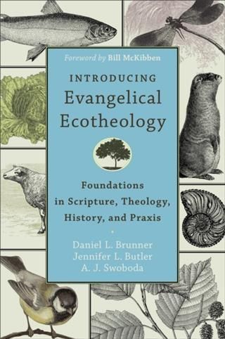 Produktbild: Introducing Evangelical Ecotheology