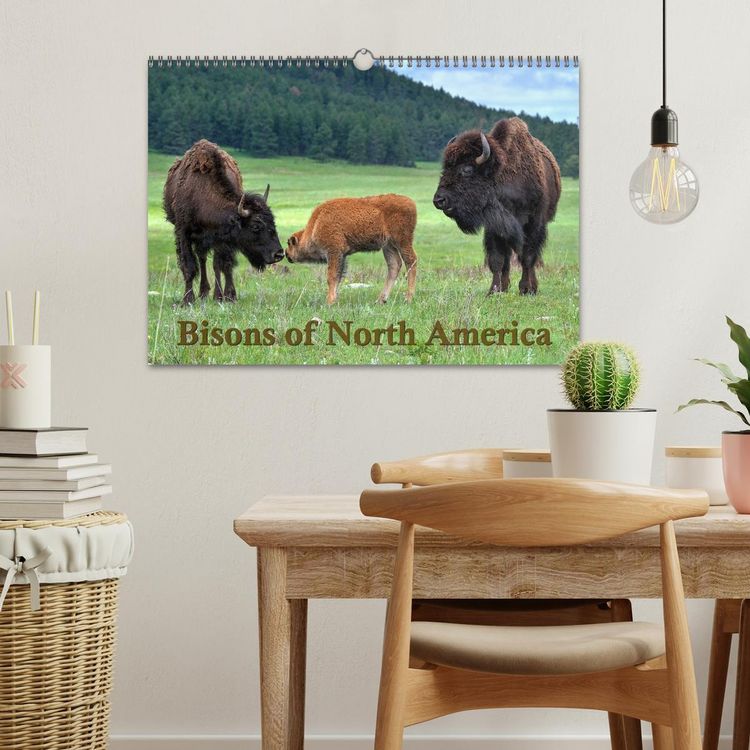 Produktbild: Bisons of North America (Wall Calendar 2026 DIN A3 landscape), CALVENDO 12 Month Wall Calendar