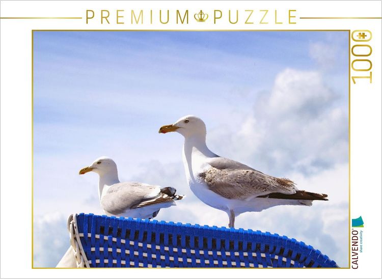 Produktbild: CALVENDO Puzzle M&ouml;wen auf einem Strandkorb an der Ostsee | 1000 Teile Lege-Gr&ouml;&szlig;e 64x48cm Foto-Puzzle f&uuml;r gl&uuml;ckliche Stunden
