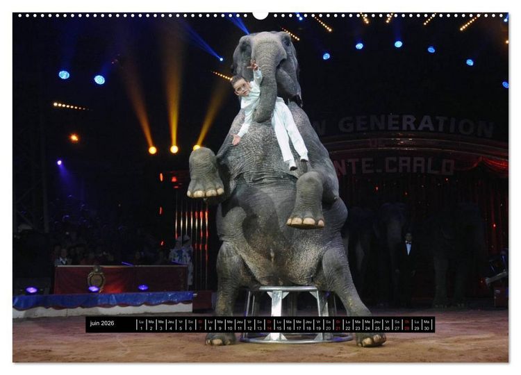 Produktbild: Les cadets du cirque &agrave; Monaco (Calendrier mural 2026 DIN A2 vertical) calendrier de bureau