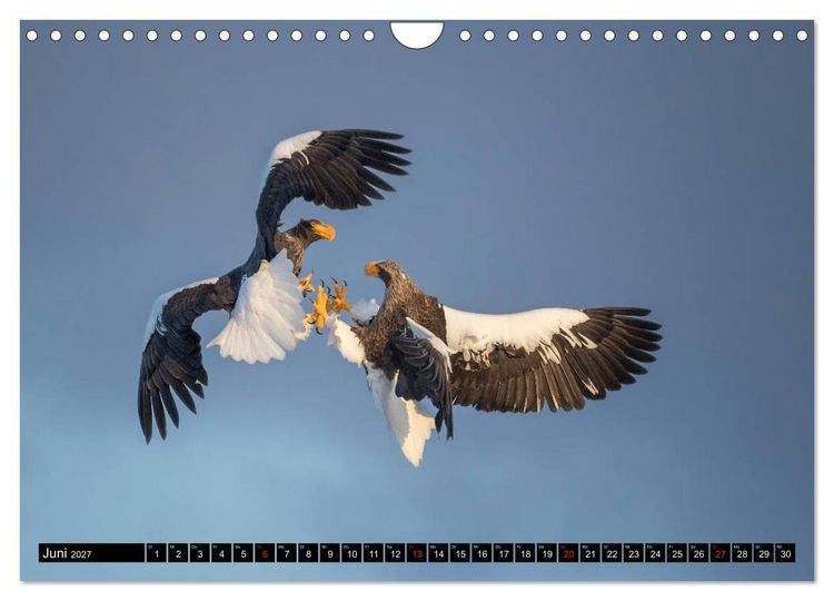 Produktbild: Japanische Vogelwelt im Winter (Wandkalender 2027 DIN A4 quer), CALVENDO Monatskalender