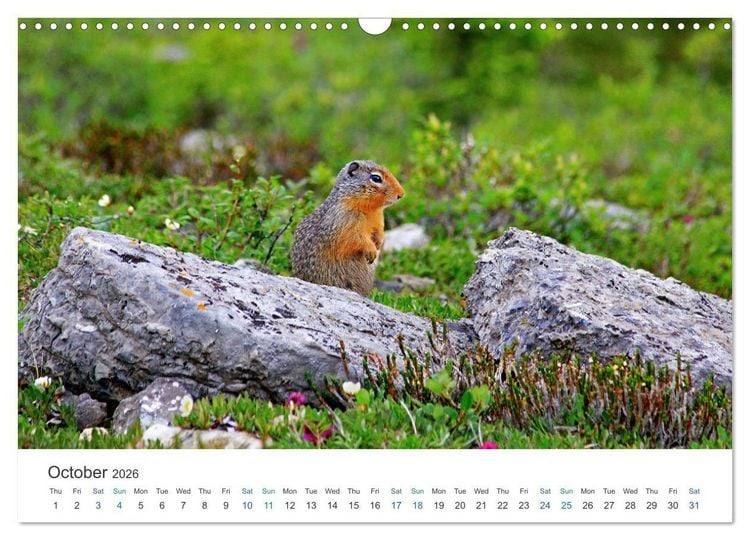Produktbild: Icefields Parkway in Canada (Wall Calendar 2026 DIN A3 landscape), CALVENDO 12 Month Wall Calendar