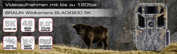 Produktbild: Braun Phototechnik Scouting Cam Black800 5K Wildkamera Black LEDs, Zeitrafferfunktion Camouflage