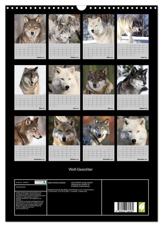 Produktbild: Wolf-Gesichter (Wandkalender 2026 DIN A3 hoch), CALVENDO Monatskalender