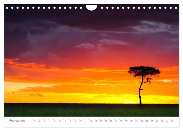 Produktbild: Safari Kenia (Wandkalender 2026 DIN A4 quer), CALVENDO Monatskalender
