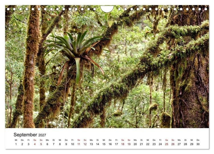 Produktbild: Costa Rica - das Naturparadies (Wandkalender 2027 DIN A4 quer), CALVENDO Monatskalender