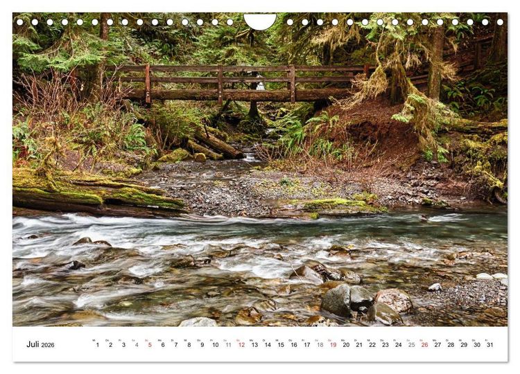 Produktbild: The Olympic National Park - Washington USA (Wandkalender 2026 DIN A4 quer), CALVENDO Monatskalender