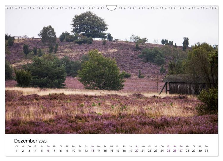 Produktbild: L&uuml;neburger Heide (Wandkalender 2026 DIN A3 quer), CALVENDO Monatskalender