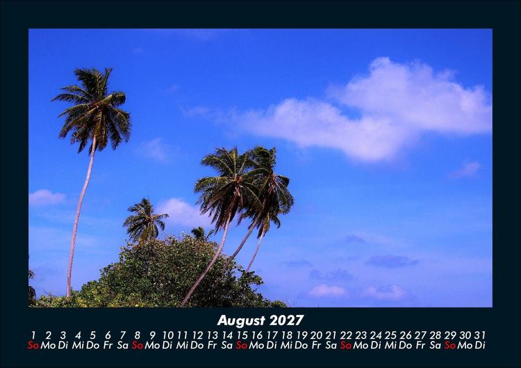 Produktbild: Palmentraum 2027 Fotokalender DIN A5