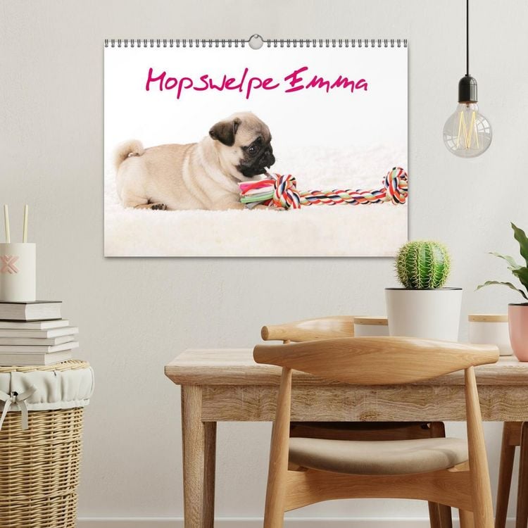 Produktbild: Mopswelpe Emma (Wandkalender 2026 DIN A3 quer), CALVENDO Monatskalender