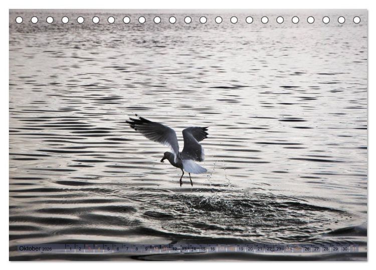Produktbild: Kanada - short visit (Tischkalender 2026 DIN A5 quer), CALVENDO Monatskalender