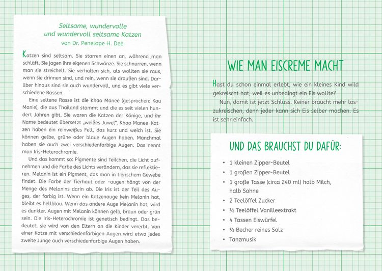 Produktbild: Die Forscherbande: Iggy Peck und das Geheimnis der alten Villa