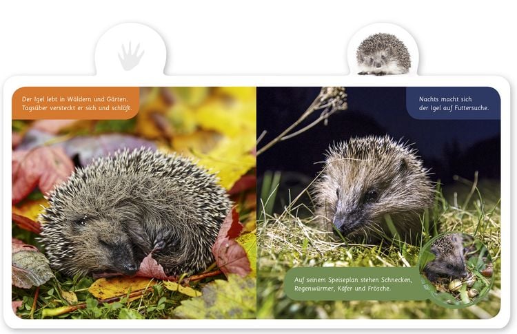 Produktbild: Der Igel