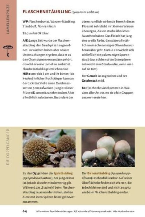 Produktbild: Pilze bestimmen - Der kleine Pilzf&uuml;hrer f&uuml;r Einsteiger und Fortgeschrittene