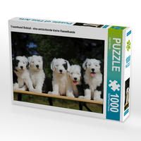 Produktbild: CALVENDO Puzzle Traumhund Bobtail - eine entz&uuml;ckende kleine Rasselbande | 1000 Teile Lege-Gr&ouml;&szlig;e 64x48cm Foto-Puzzle f&uuml;r gl&uuml;ckliche Stunden