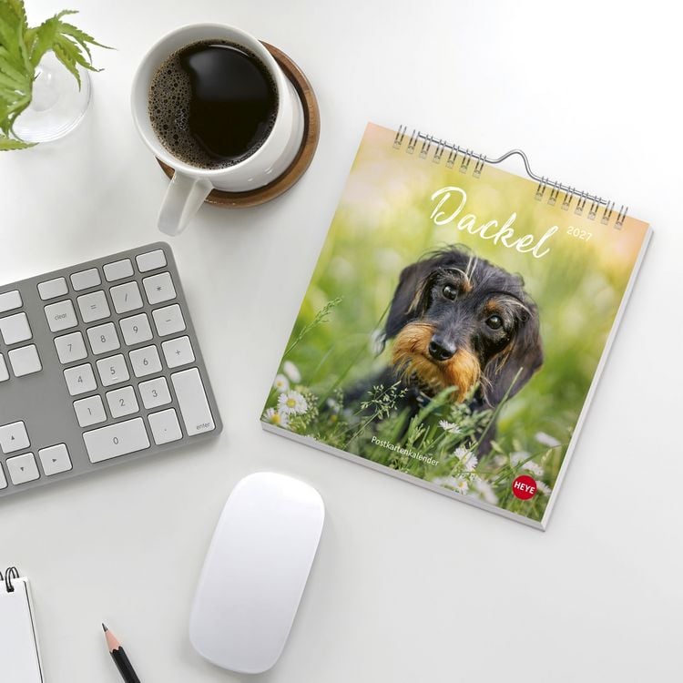 Produktbild: Dackel Postkartenkalender 2027