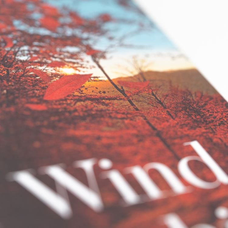 Produktbild: Der Wind weht, wohin er will
