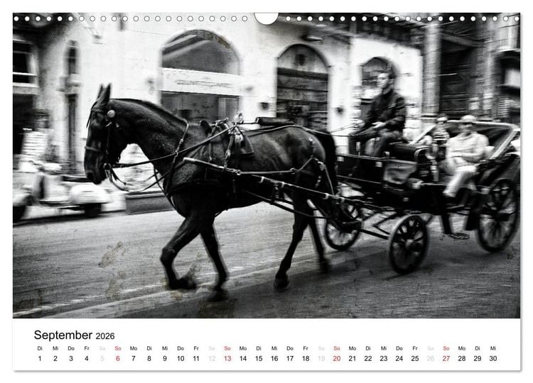 Produktbild: Silberstein portr&auml;tiert Palermo (Wandkalender 2026 DIN A3 quer), CALVENDO Monatskalender