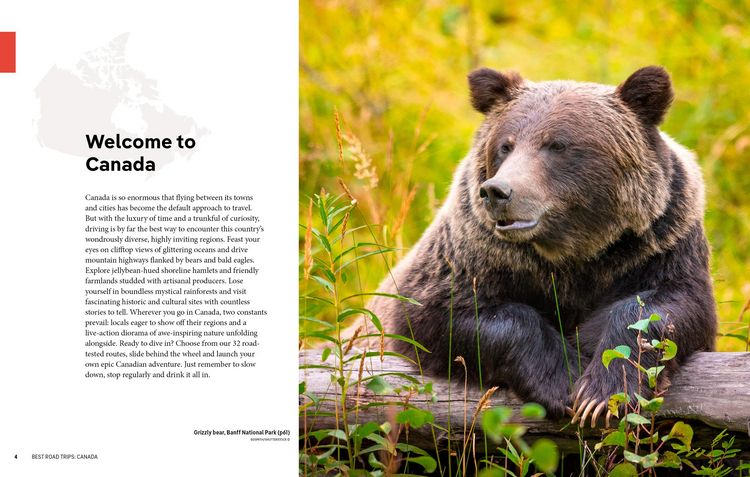 Produktbild: Lonely Planet Best Road Trips Canada