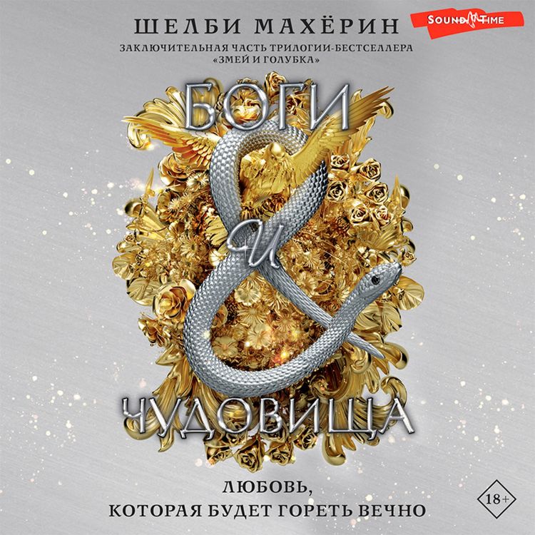 Produktbild: Bogi i chudovishcha