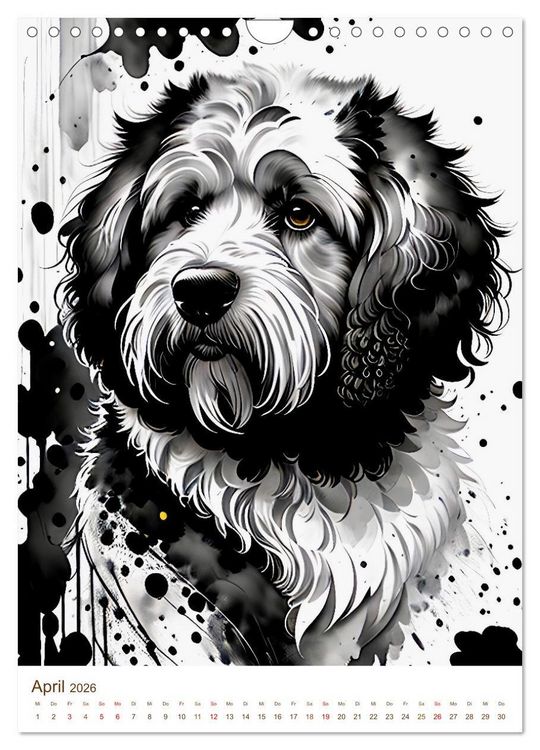 Produktbild: Der Labradoodle (Wandkalender 2026 DIN A4 hoch), CALVENDO Monatskalender