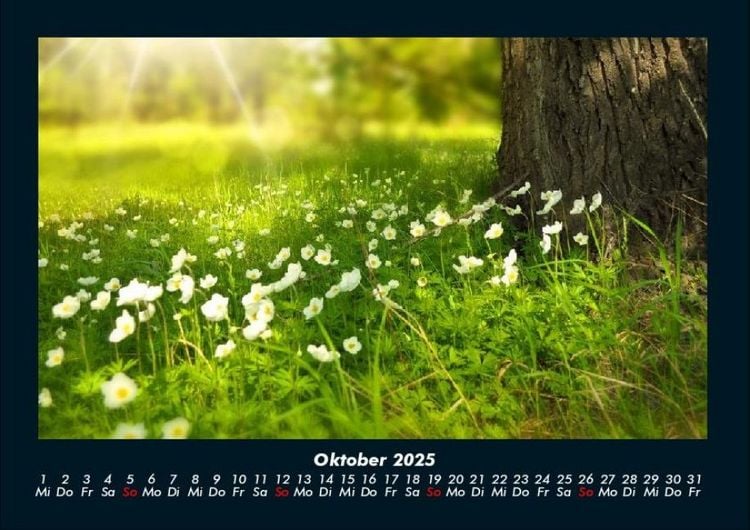 Produktbild: Blumenkalender 2025 Fotokalender DIN A4