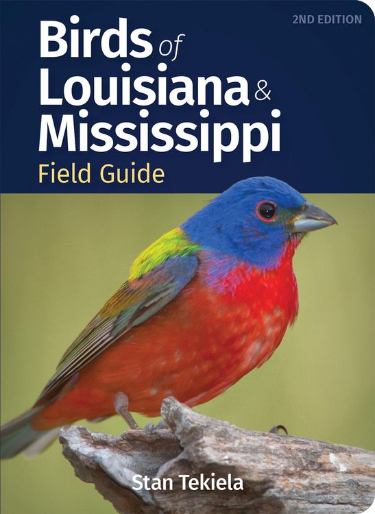 Produktbild: Birds of Louisiana & Mississippi Field Guide