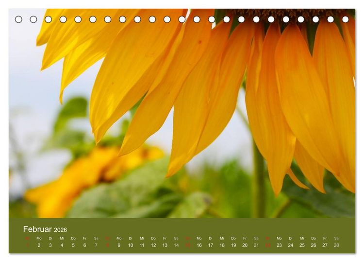 Produktbild: Sonnenblumen - die Blumen der Lebensfreude (Tischkalender 2026 DIN A5 quer), CALVENDO Monatskalender