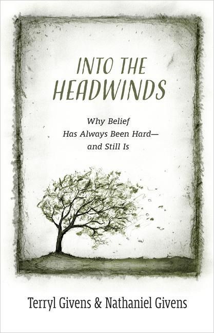 Produktbild: Into the Headwinds