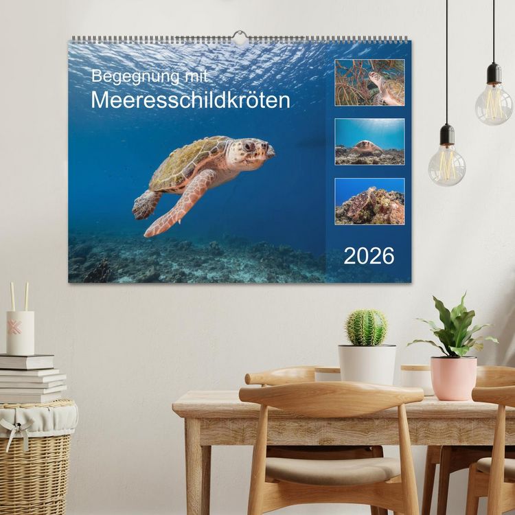 Produktbild: Begegnung mit Meeresschildkr&ouml;ten (Wandkalender 2026 DIN A2 quer), CALVENDO Monatskalender