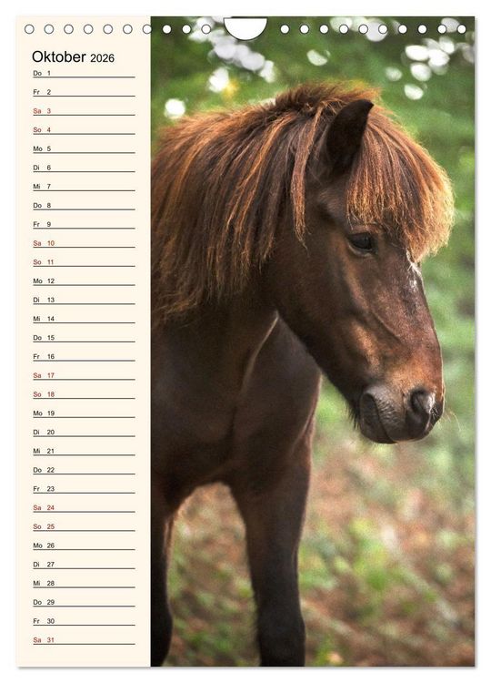 Produktbild: Isl&auml;nder Geburtstagskalender (Wandkalender 2026 DIN A4 hoch), CALVENDO Monatskalender