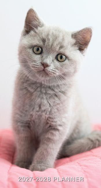 Produktbild: Kitten 2-Year 2027-28 3.5 X 6.5 Monthly Pocket Planner