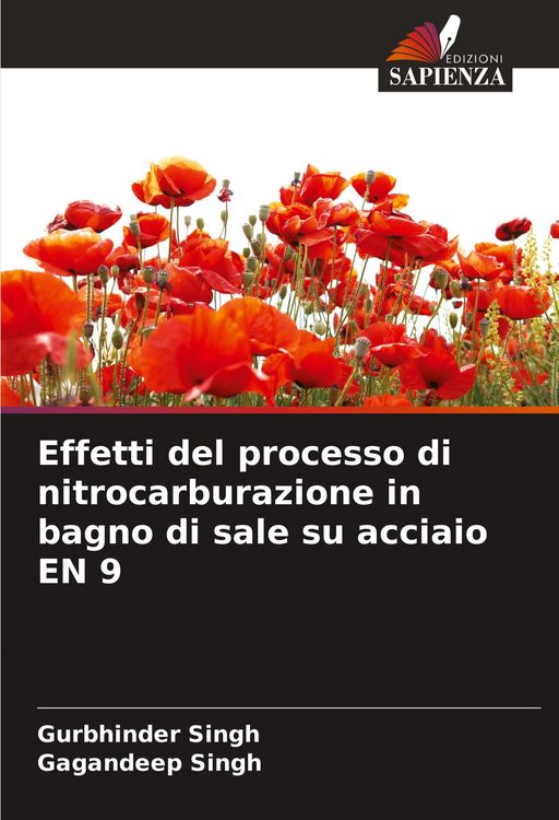 Produktbild: Effetti del processo di nitrocarburazione in bagno di sale su acciaio EN 9