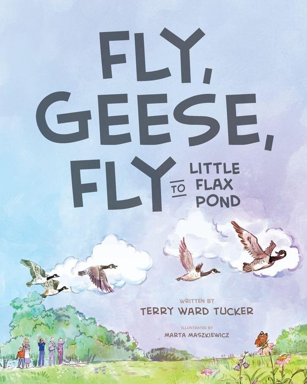 Produktbild: Fly, Geese, Fly