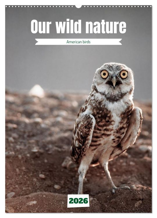 Produktbild: Our wild nature, American birds (Wall Calendar 2026 DIN A2 portrait), CALVENDO 12 Month Wall Calendar