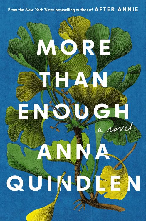 Produktbild: More Than Enough