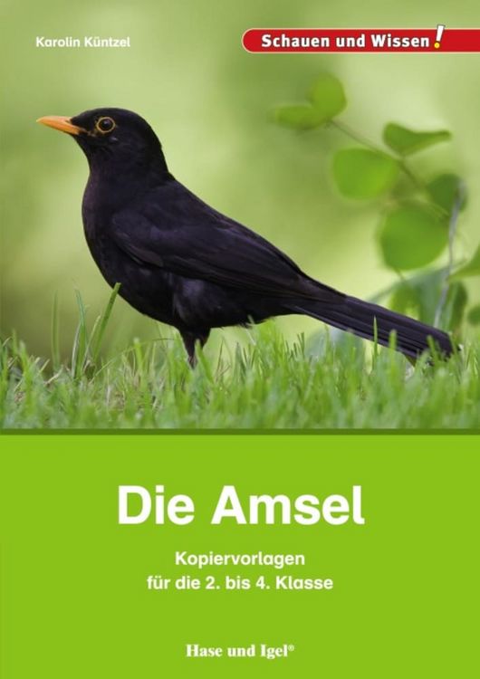 Produktbild: Die Amsel &ndash; Kopiervorlagen f&uuml;r die 2. bis 4. Klasse