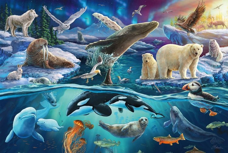 Produktbild: Tiere in der Arktis, 150 Teile