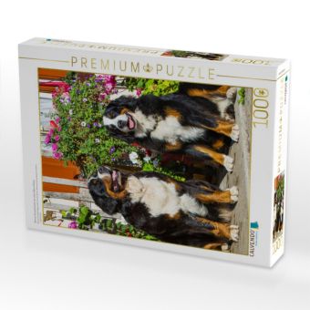 Produktbild: CALVENDO Puzzle Berner Sennenhunde vor einem Bauernhaus | 1000 Teile Lege-Gr&ouml;&szlig;e 64x48cm Foto-Puzzle f&uuml;r gl&uuml;ckliche Stunden