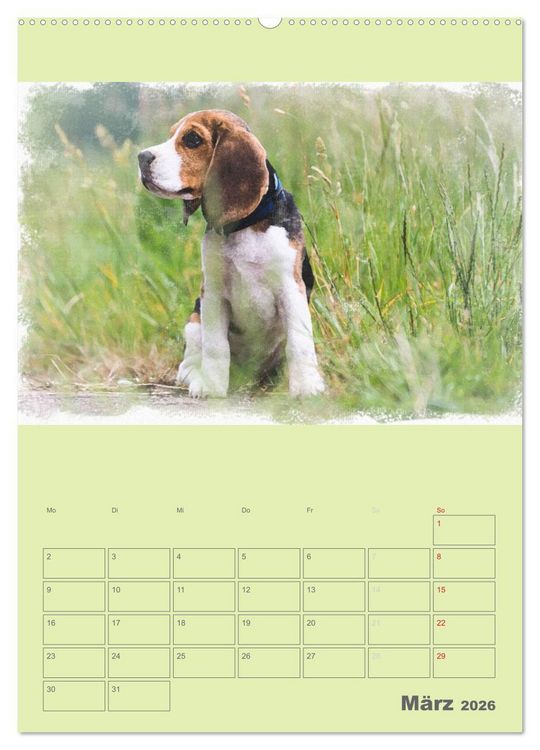 Produktbild: Hunde in Aquarell - Jahresplaner (hochwertiger Premium Wandkalender 2026 DIN A2 hoch), Kunstdruck in Hochglanz
