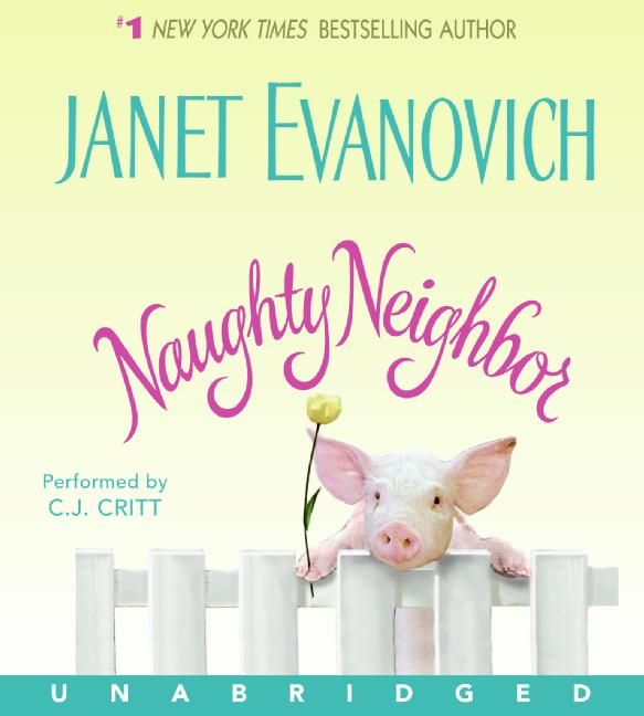 Produktbild: NAUGHTY NEIGHBOR 4D
