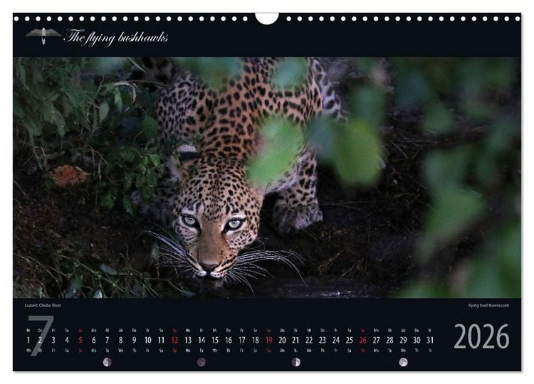 Produktbild: Botswana Blickwinkel 2026 (Wandkalender 2026 DIN A3 quer), CALVENDO Monatskalender