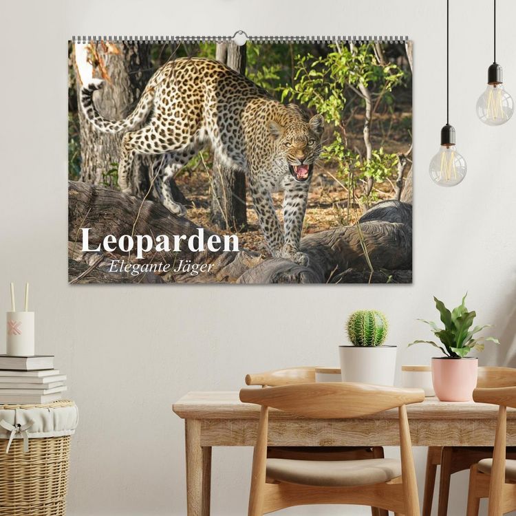 Produktbild: Leoparden. Elegante J&auml;ger (Wandkalender 2026 DIN A2 quer), CALVENDO Monatskalender