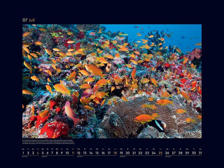 Produktbild: Farben der Erde - KUNTH Wandkalender 2027