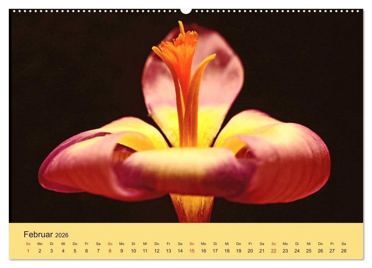 Produktbild: Fantastische Reise in die Welt der Blumen (Wandkalender 2026 DIN A2 quer), CALVENDO Monatskalender