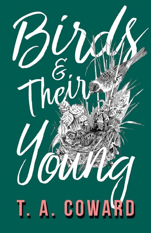 Produktbild: Birds and Their Young