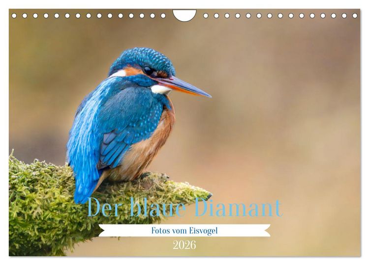 Produktbild: Der blaue Diamant - Fotos vom Eisvogel (Wandkalender 2026 DIN A4 quer), CALVENDO Monatskalender