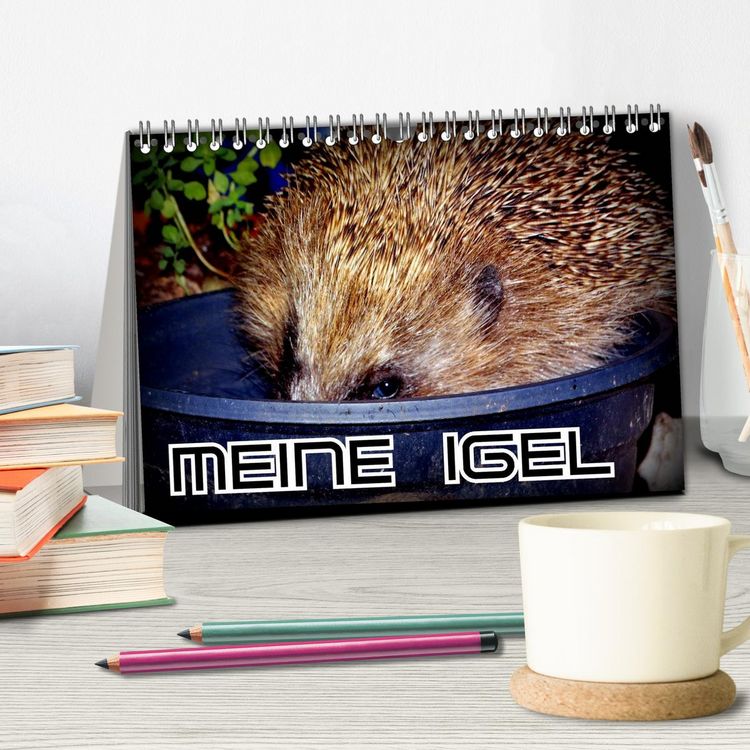Produktbild: Meine Igel (Tischkalender 2026 DIN A5 quer), CALVENDO Monatskalender