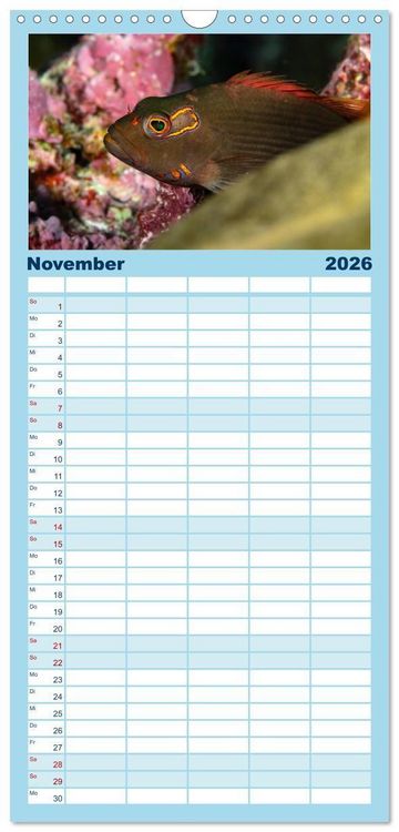 Produktbild: Familienplaner 2026 - Unterwasserwelt Christmas Island mit 5 Spalten (Wandkalender, 21 x 45 cm) CALVENDO